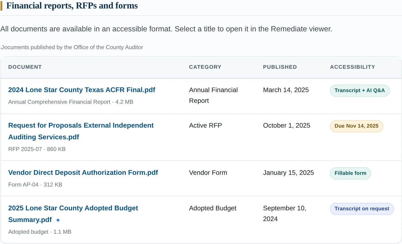 The mock Lone Star County Auditor documents table, with accessibility badges beside each PDF.